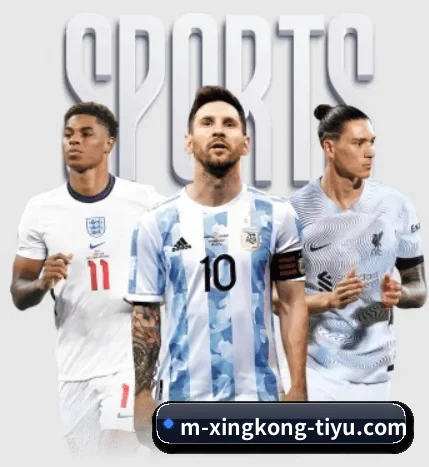 星空体育 APP - XK sports