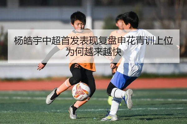 杨皓宇中超首发表现复盘申花青训上位为何越来越快