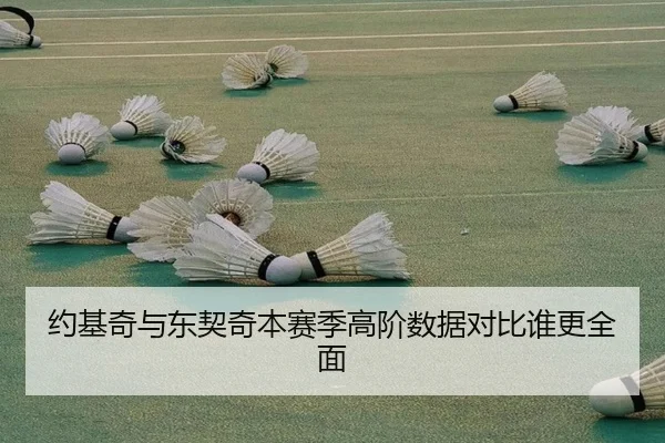 约基奇与东契奇本赛季高阶数据对比谁更全面 - XK sports